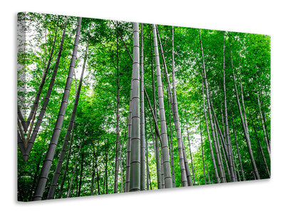 5-piece-canvas-print-bamboo-forest