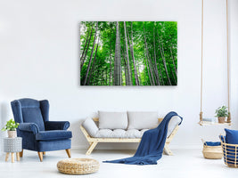 modern-4-piece-canvas-print-bamboo-forest