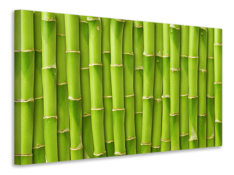 panoramic-3-piece-canvas-print-bamboo-wall