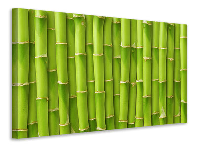 3-piece-canvas-print-bamboo-wall
