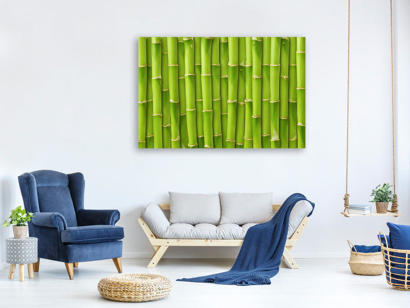 panoramic-3-piece-canvas-print-bamboo-wall