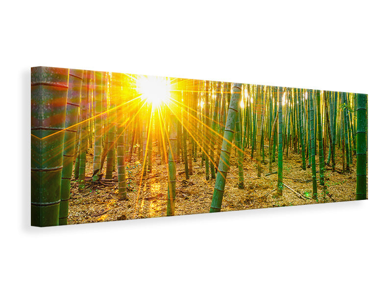 panoramic-3-piece-canvas-print-bamboos