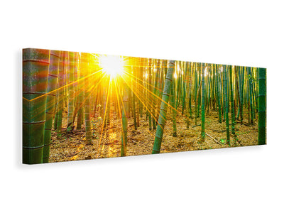 modern-3-piece-canvas-print-bamboos