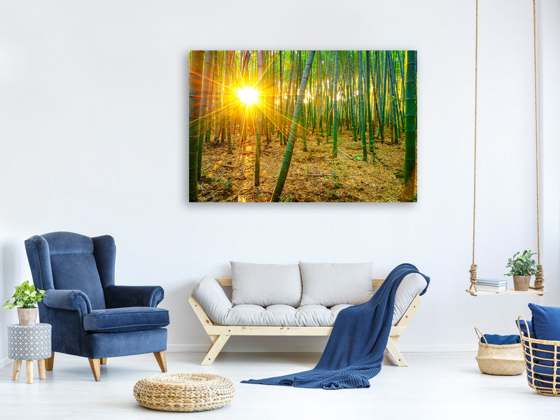 panoramic-3-piece-canvas-print-bamboos