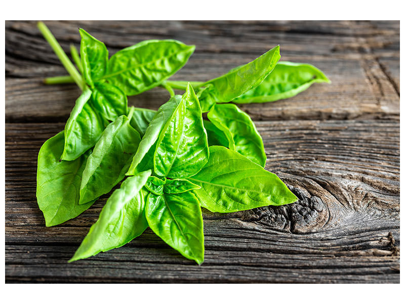 4-piece-canvas-print-basil-leaves-ii