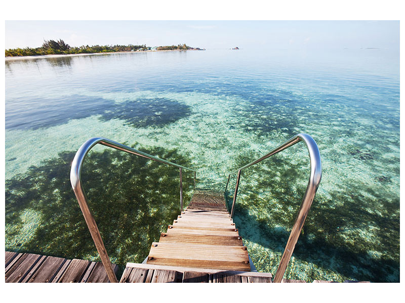 5-piece-canvas-print-bath-in-the-sea