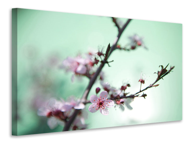 5-piece-canvas-print-beautiful-japanese-cherry-blossom