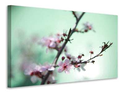 4-piece-canvas-print-beautiful-japanese-cherry-blossom