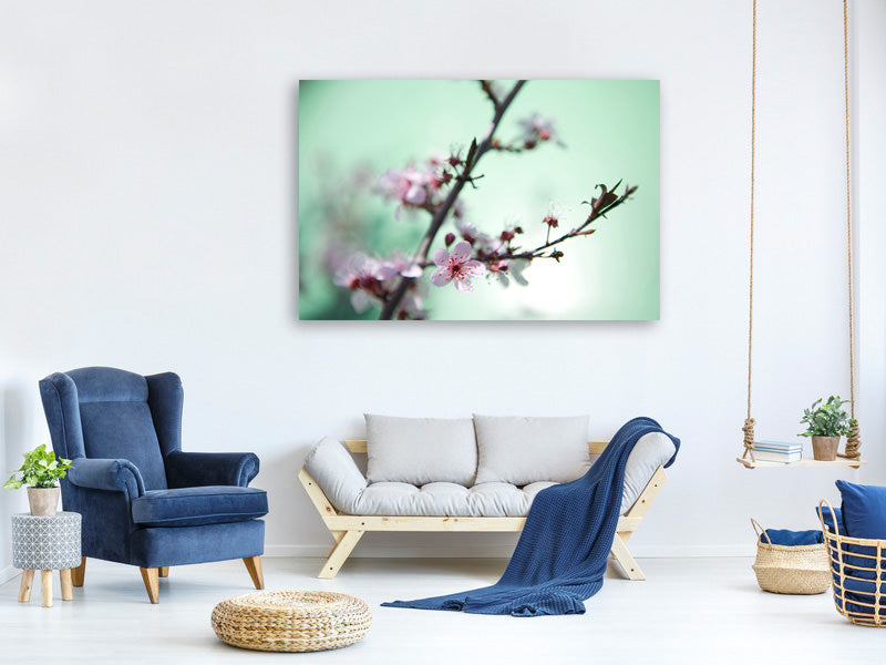 4-piece-canvas-print-beautiful-japanese-cherry-blossom