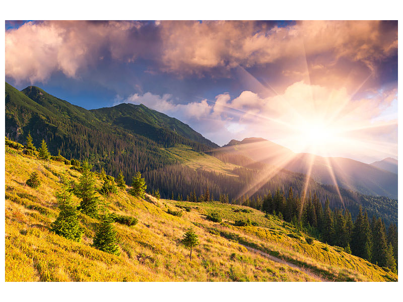 5-piece-canvas-print-beginning-of-autumn