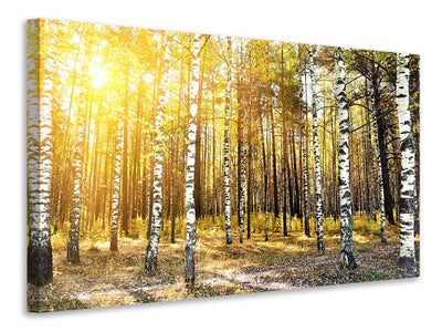 5-piece-canvas-print-birch-forest