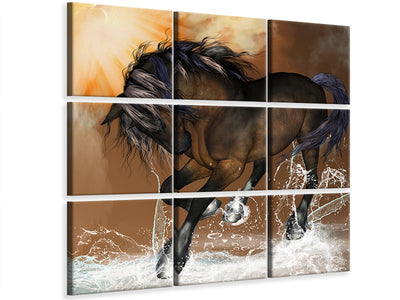 4-piece-canvas-print-black-beauty