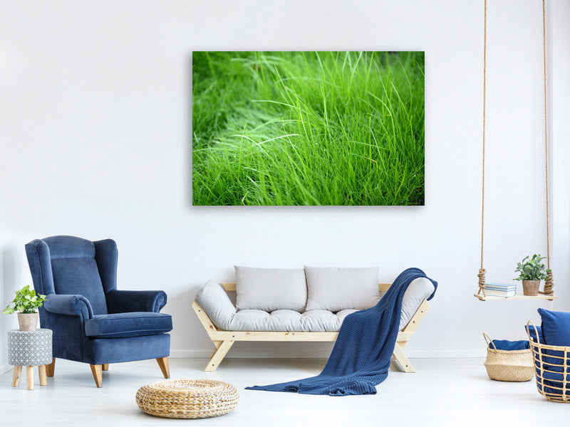 panoramic-3-piece-canvas-print-blades-of-grass