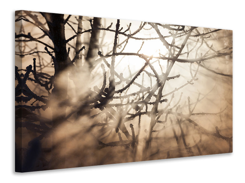 panoramic-canvas-print-branches-in-fog-light