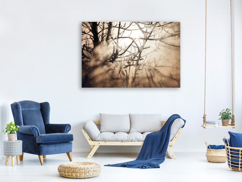 panoramic-3-piece-canvas-print-branches-in-fog-light