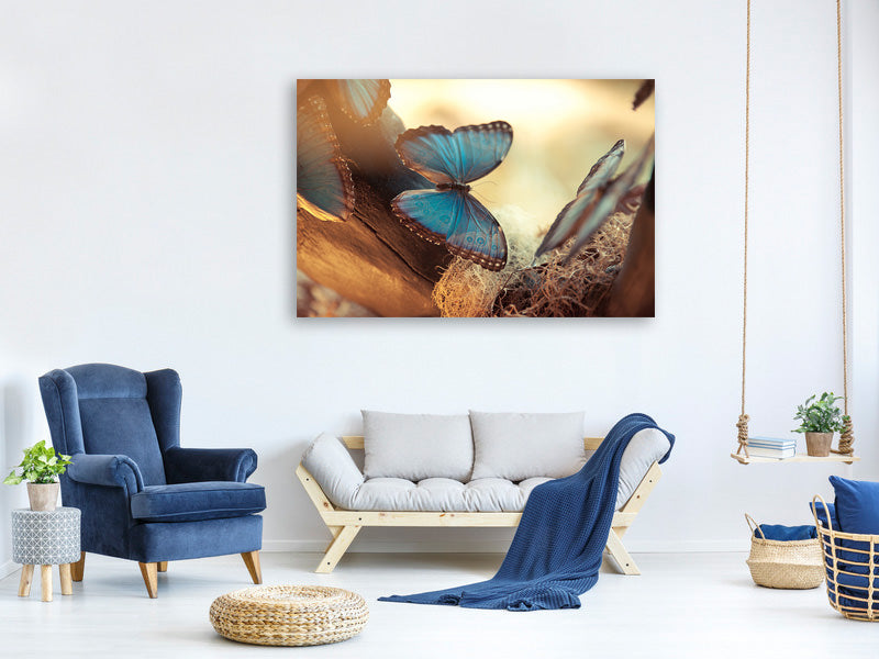 modern-4-piece-canvas-print-butterflies
