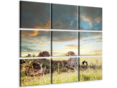 canvas-print-cheetahs