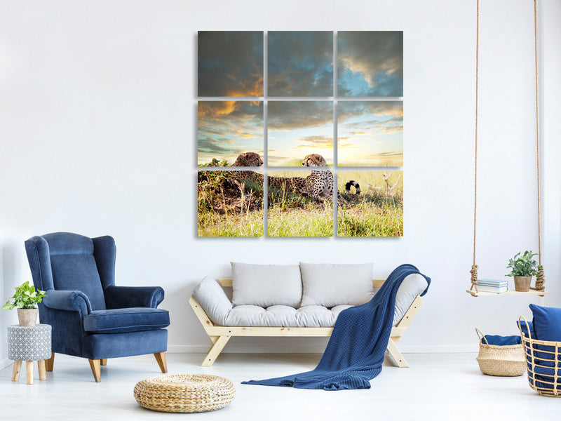 canvas-print-cheetahs