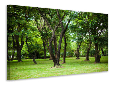 5-piece-canvas-print-cherry-garden