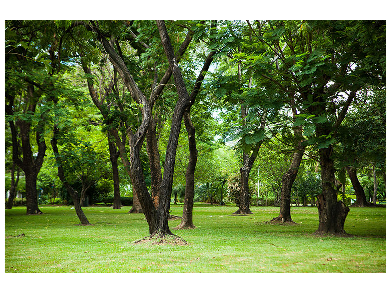 5-piece-canvas-print-cherry-garden