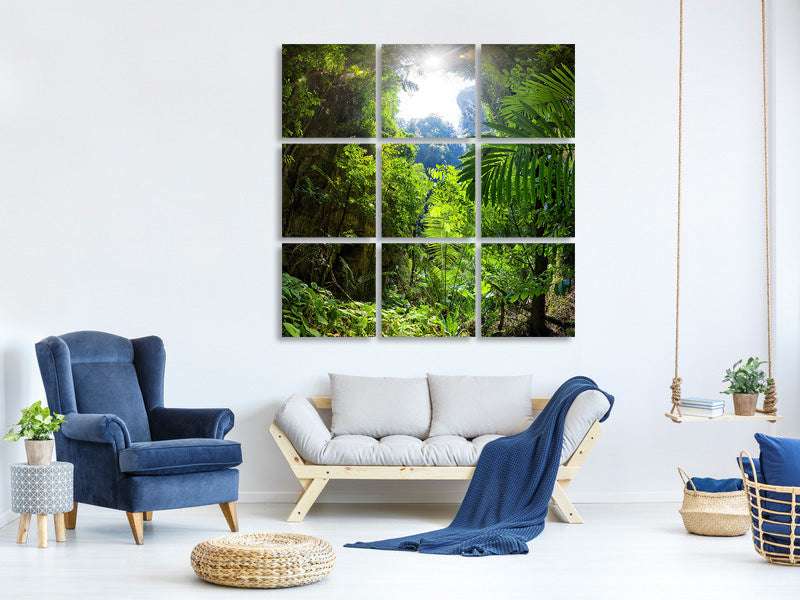 canvas-print-clearing-in-the-jungle