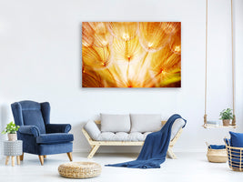 5-piece-canvas-print-close-up-dandelion-in-light