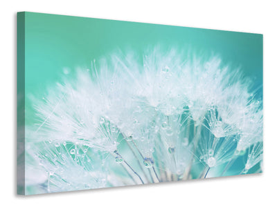 5-piece-canvas-print-close-up-dandelion-in-morning-dew