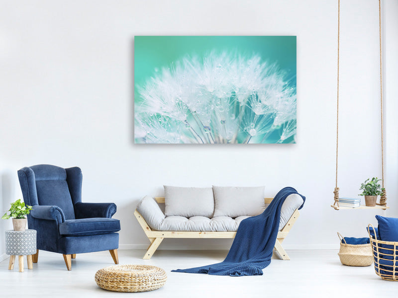 panoramic-canvas-print-close-up-dandelion-in-morning-dew