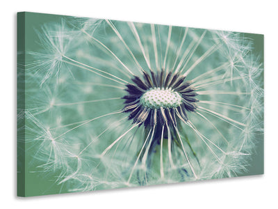 modern-3-piece-canvas-print-close-up-dandelion