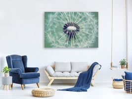 panoramic-canvas-print-close-up-dandelion