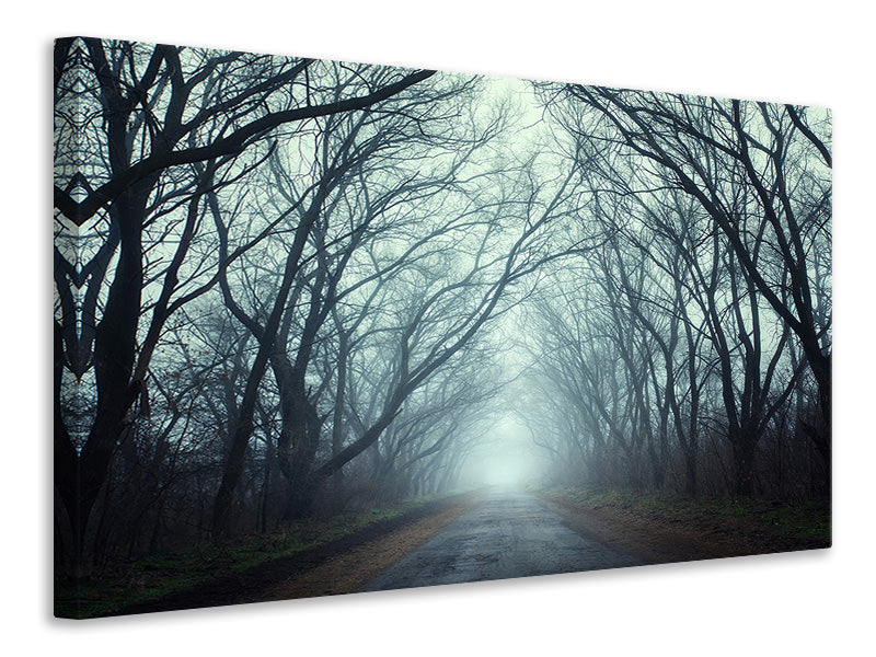 5-piece-canvas-print-cloud-forest