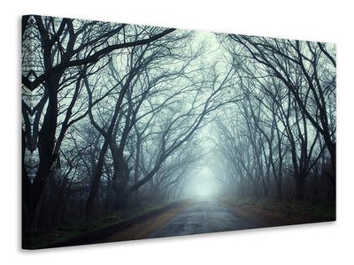 5-piece-canvas-print-cloud-forest