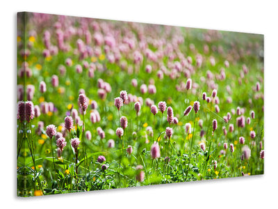 modern-3-piece-canvas-print-clover