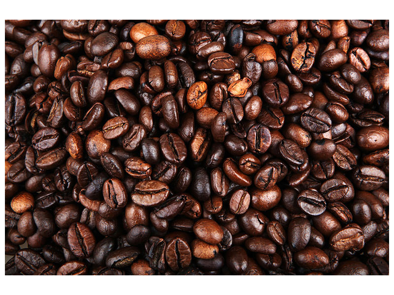 panoramic-3-piece-canvas-print-coffee-beans-in-xxl