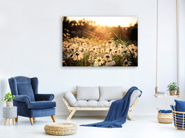 modern-4-piece-canvas-print-daisies-at-sunset