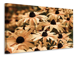 panoramic-3-piece-canvas-print-daisies-in-sepia