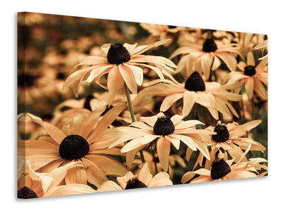 3-piece-canvas-print-daisies-in-sepia