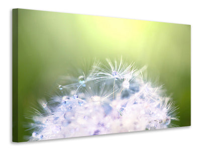 panoramic-3-piece-canvas-print-dandelion-xl-in-morning-dew