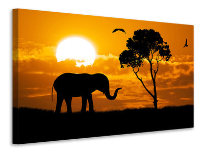 3-piece-canvas-print-dreamy-africa