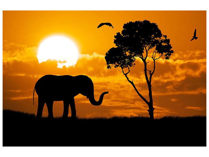 4-piece-canvas-print-dreamy-africa