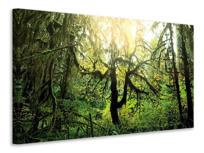 panoramic-3-piece-canvas-print-dreamy-forest
