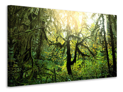 5-piece-canvas-print-dreamy-forest