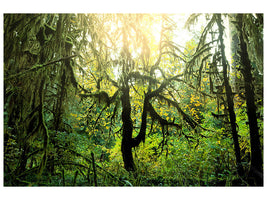 5-piece-canvas-print-dreamy-forest