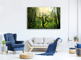 panoramic-canvas-print-dreamy-forest