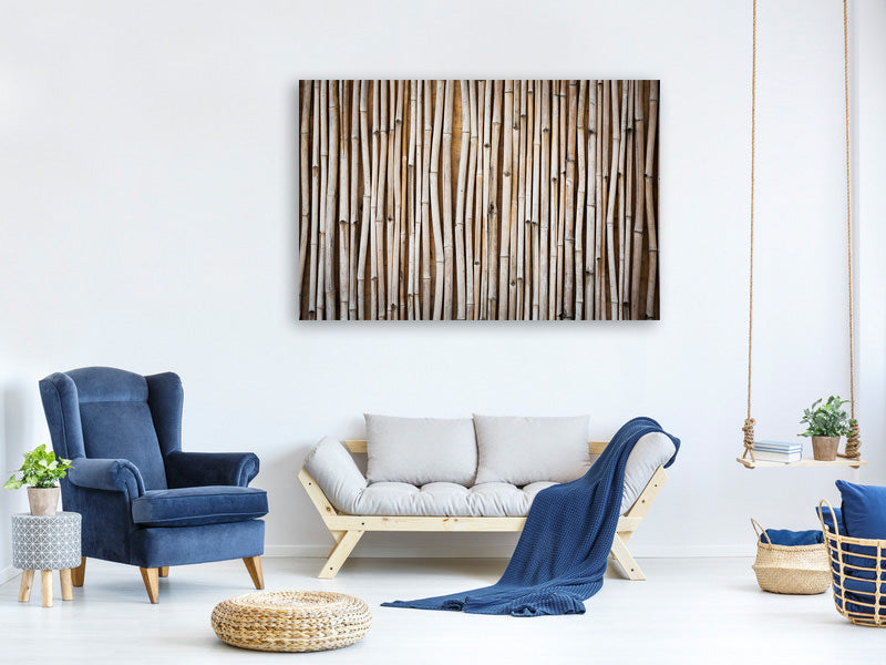 panoramic-canvas-print-dried-bamboos