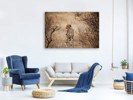5-piece-canvas-print-elegant-cheetah