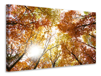 4-piece-canvas-print-enlightened-autumn-trees