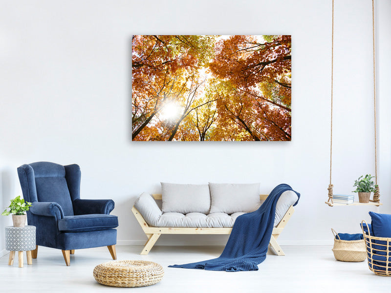 4-piece-canvas-print-enlightened-autumn-trees