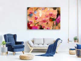 5-piece-canvas-print-exotic-orchids