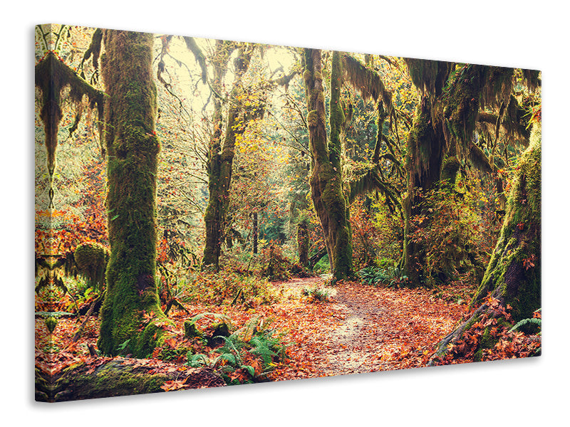 4-piece-canvas-print-fairies-forest